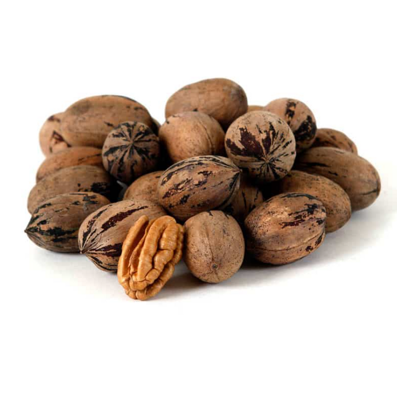 Pecan Nut in Shell - 500g (Australian)